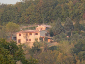 Panoramic farmhouse with swimming pool Chioano